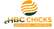 HBC Chicks